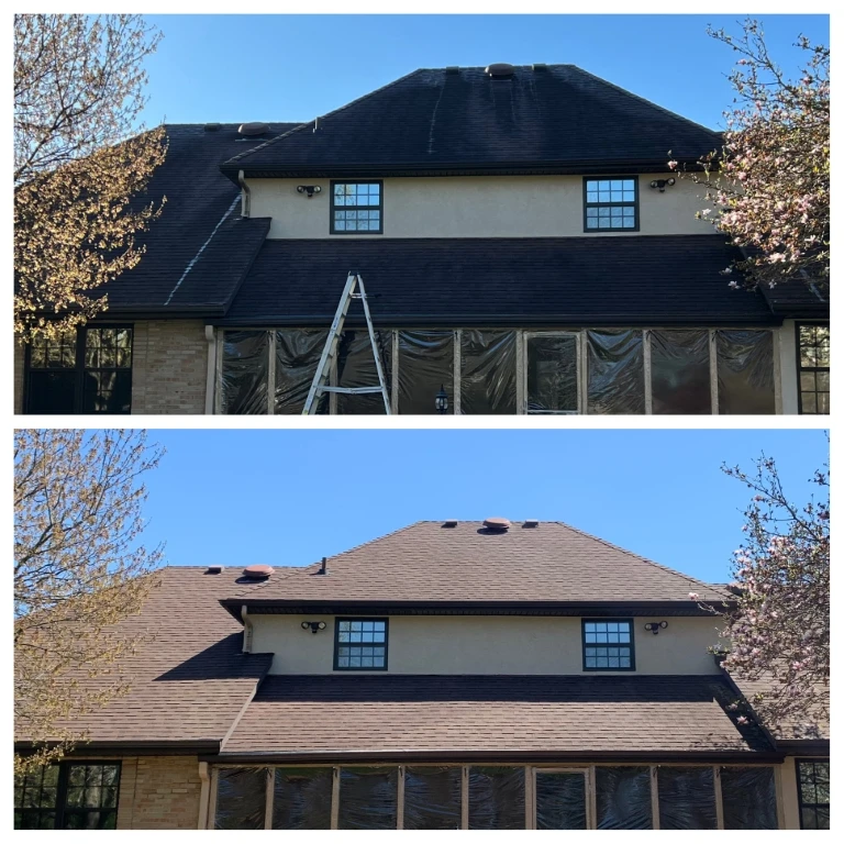 house-roof-cleaning