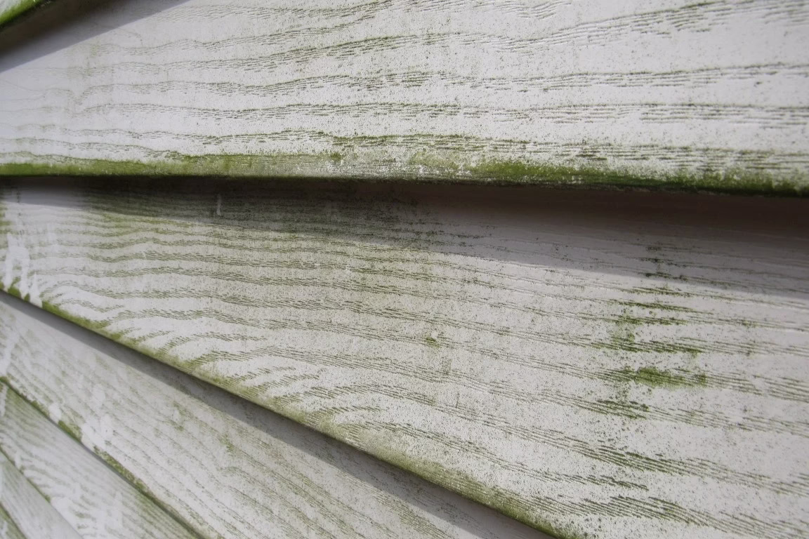 Green Buildup - Columbus, OH